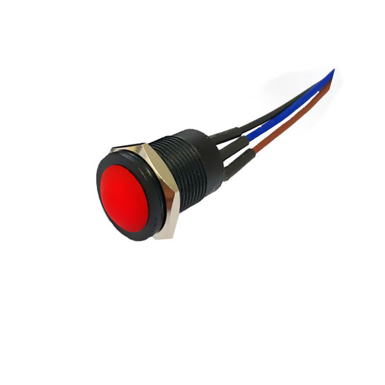 Wintai-Tech pulsante pulsante interruttore 12v pulsante pulsante pulsante 12mm pulsante pulsante momentaneo
