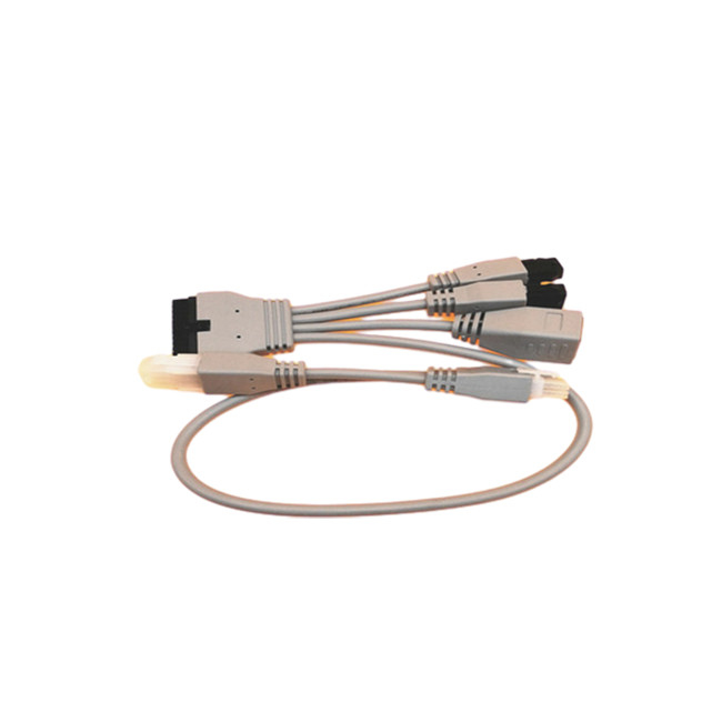 Assemblaggi cavi su ordinazione di Molex43025-2400 3.0mm al Pin femminile 6 dell'incavo RJ45 Molex 4.2mm