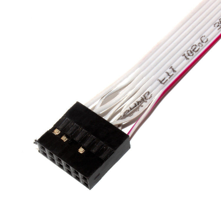 IDC 12 PIN Flat Flexible Ribbon Cable DF19 TO JST RF per il cavo di alimentazione PCBA